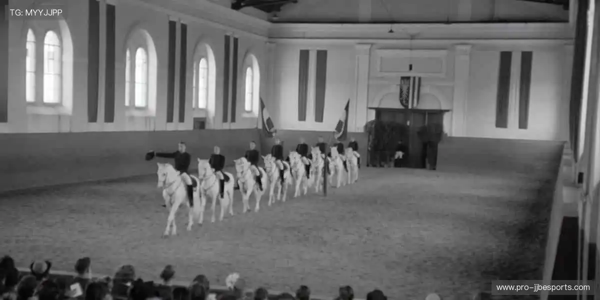 直播时刻，让世界与你同频共振📺🌍